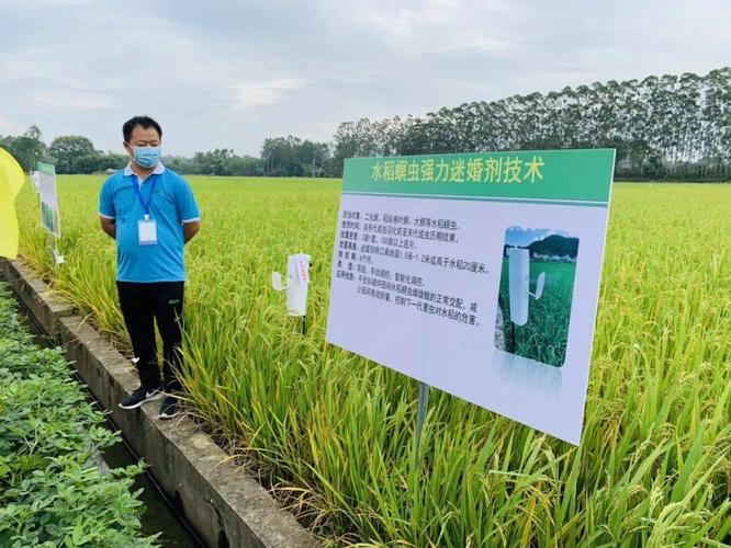 全国200名植保专家来博"取经" ,探秘农作物虫害防治新科技