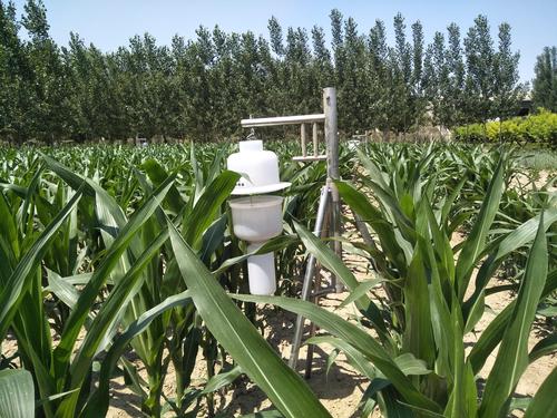 悬挂性诱剂农作物病虫害防治在粮食生产过程中以及粮食安全方面起了